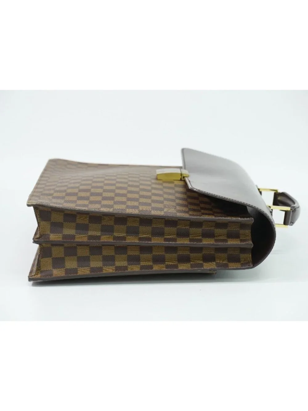 Louis Vuitton brand louis